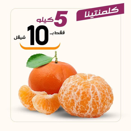 aarod-nar-lyom-alsbt-13-big-4