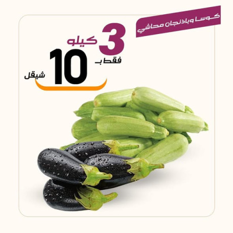 aarod-nar-lyom-alsbt-13-big-2