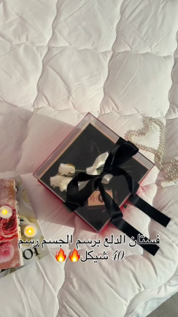 fstan-aldlaa-brsm-algsm-big-0