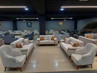 Elegant Living Room Sofas