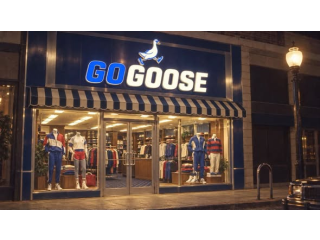 GoGoose بالتمنينات