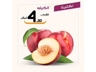 عروض الخضار والفواكه ليوم الاربعاء 9/9