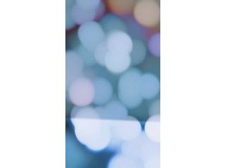 أصناف شمس الشام ام الشرايط محلاها