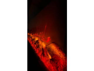 فايربليس تدفئة 3 وجوه