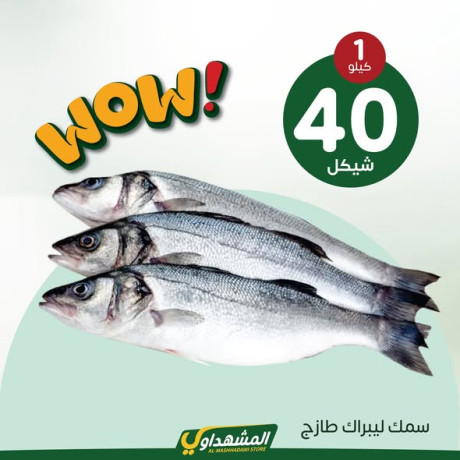 almshhdaoy-byt-alkl-big-3