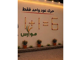 تحدي اليوم من موارس