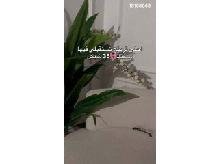 احلى ترينج تستقبلي فيها سلفتك