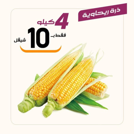 aarod-altazg-lyom-althlathaaa-16-big-4