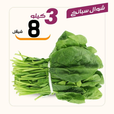 aasl-obsl-sobrmarkt-big-1