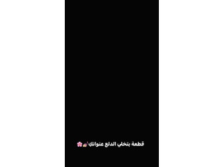 كوليكشن عرايسي جديد