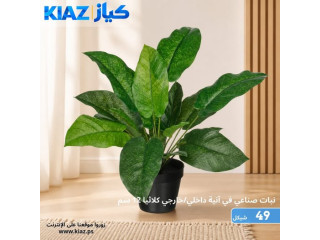 نبات صناعي في آنية داخلي/خارجي كلاثيا 12 سم