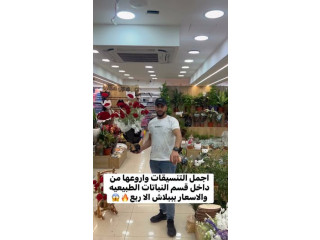 اجمل التنسيقات واروعها من داخل قسم النباتات الطبيعيه