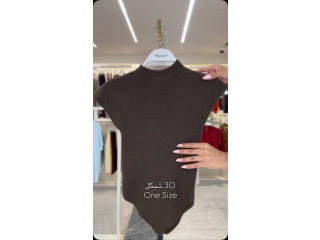 Brown Bodysuit