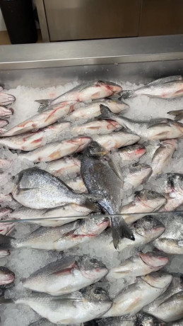 almshhdaoy-bls-lladoat-almnzly-big-0