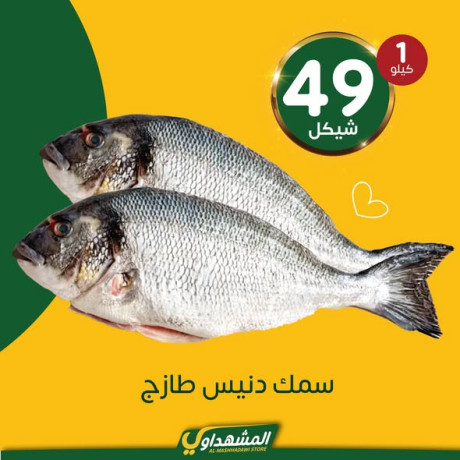 almshhdaoy-bls-lladoat-almnzly-big-1