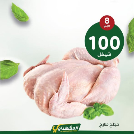 almshhdaoy-bls-lladoat-almnzly-big-3