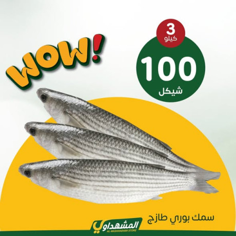 almshhdaoy-bls-lladoat-almnzly-big-4