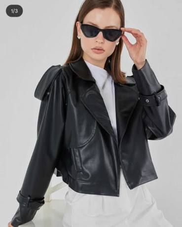 tshkyl-shtaaa-2026-big-0