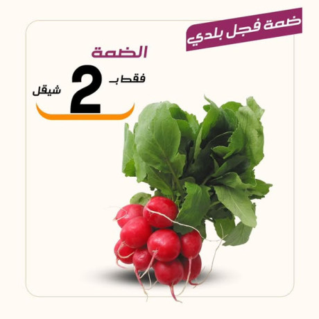 aarod-altazg-lyom-alkhmys-18-big-4