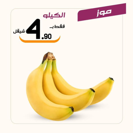 aarod-altazg-lyom-alkhmys-18-big-1