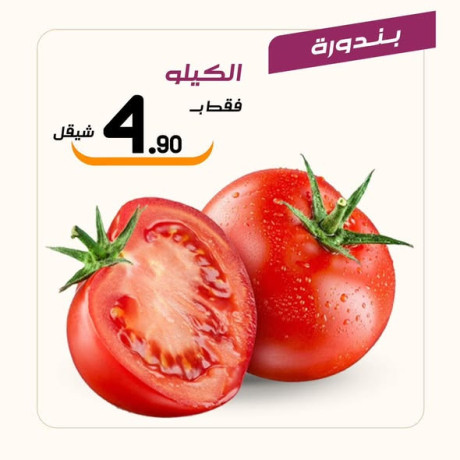 aarod-altazg-lyom-alkhmys-18-big-0