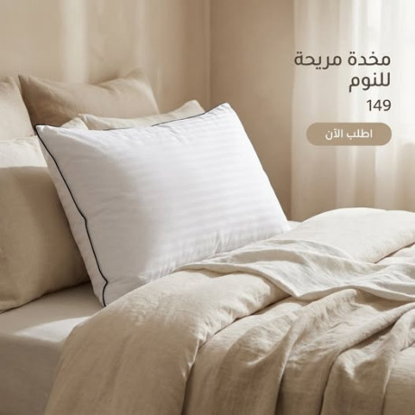 mkhd-mryh-llnom-big-0