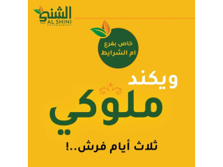 ويكنــد ملوكــي 👑 .. ثــلاث أيــام فرش 🐔🐑🍋🍆