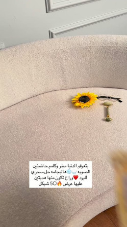 bgamh-kmashtha-ktr-dafyh-mbtnh-fro-mn-goa-big-0