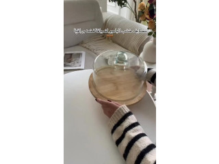 مضايف خشب بامبو