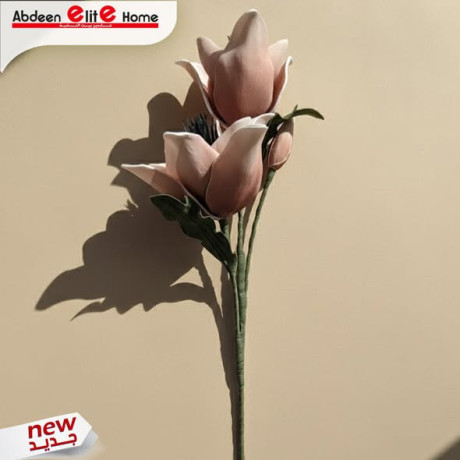 aarok-alord-alsnaaay-big-1