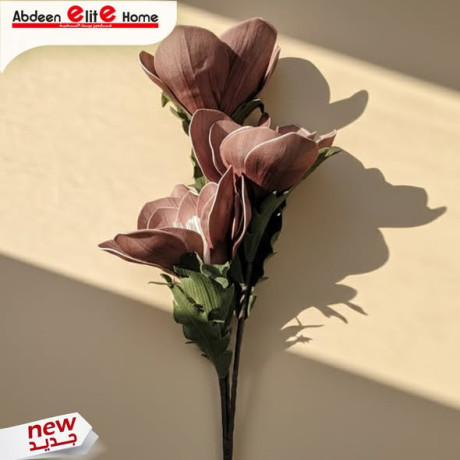 aarok-alord-alsnaaay-big-2