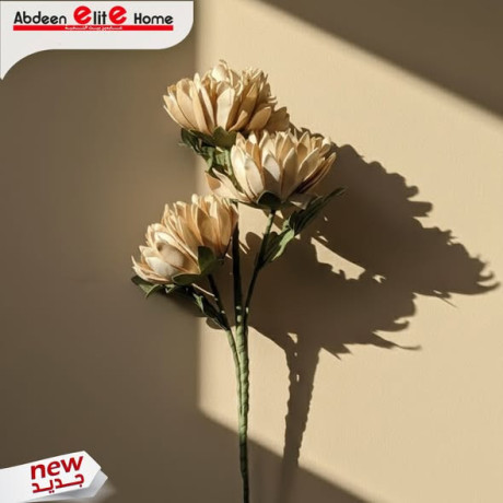 aarok-alord-alsnaaay-big-4