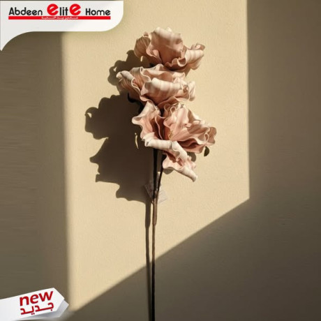 aarok-alord-alsnaaay-big-3