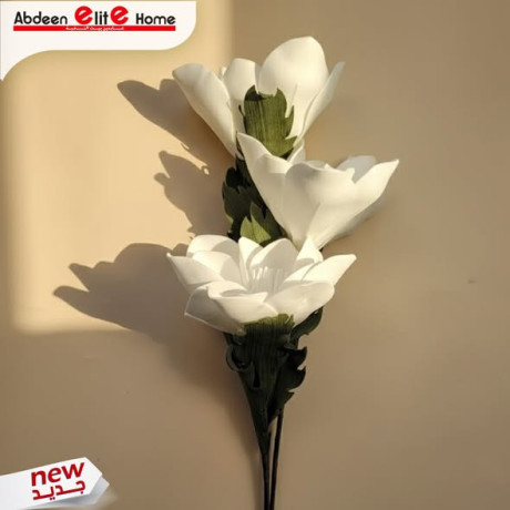 aarok-alord-alsnaaay-big-0