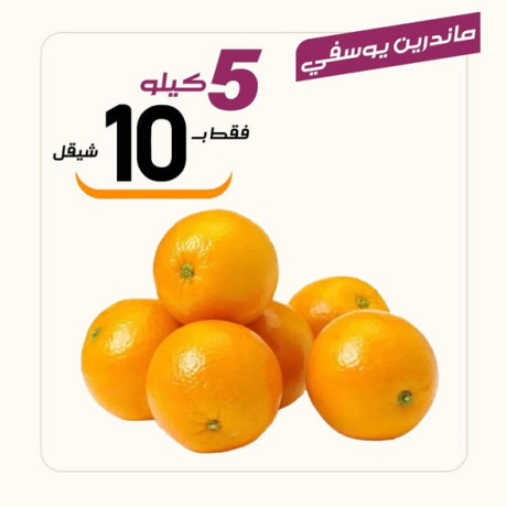 aarod-altazg-lyom-alsbt110-big-4