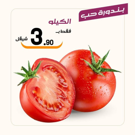 aarod-altazg-lyom-alsbt110-big-0