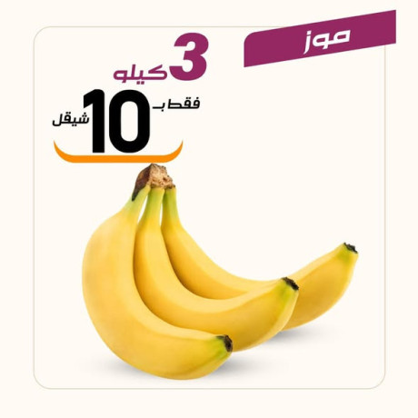 aarod-altazg-lyom-alsbt110-big-1