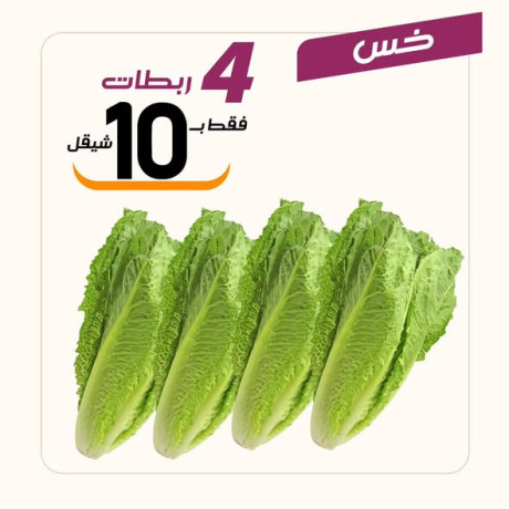 aarod-altazg-lyom-alahd-111-big-2