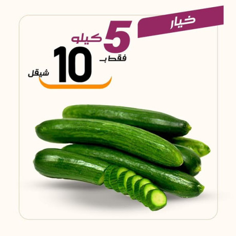 aarod-altazg-lyom-alahd-111-big-0