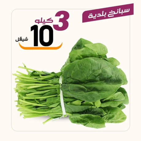 aasl-obsl-sobrmarkt-big-4