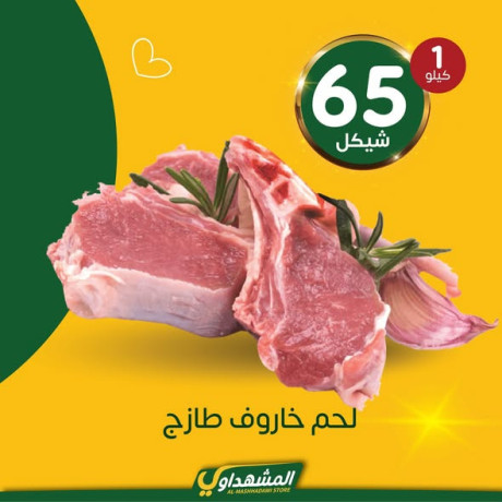 almshhdaoy-bls-lladoat-almnzly-big-1