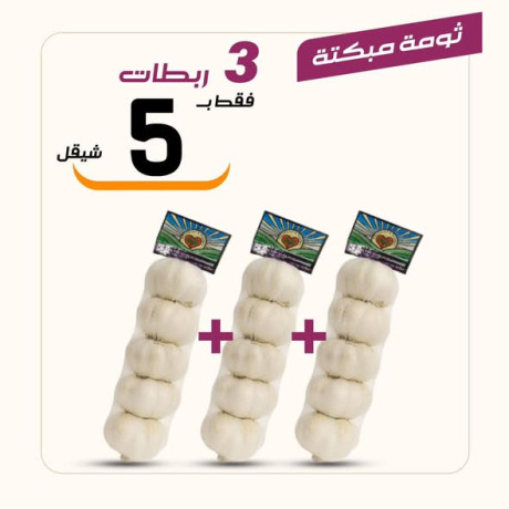 aarod-altazg-lyom-alathnyn-112-big-4