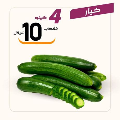 aarod-altazg-lyom-alathnyn-112-big-2