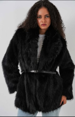 tshkyl-shtaaa-2026-big-1