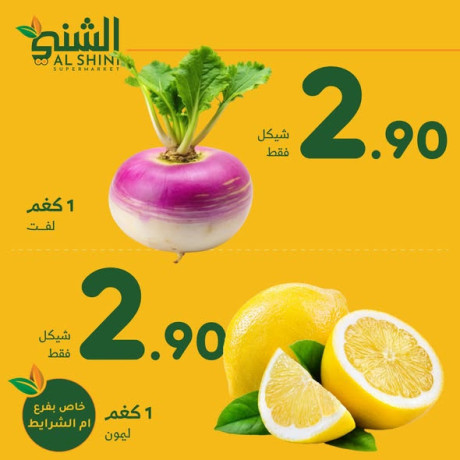 aard-khas-bfraa-am-alshrayt-big-4