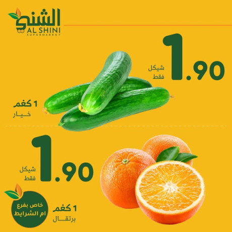 aard-khas-bfraa-am-alshrayt-big-3