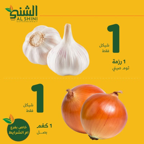 aard-khas-bfraa-am-alshrayt-big-2