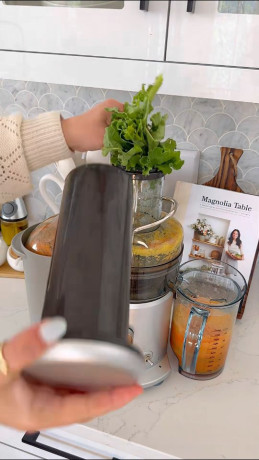 breville-je-95-juicer-aasar-foakh-big-0