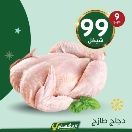 almshhdaoy-bls-lladoat-almnzly-big-1