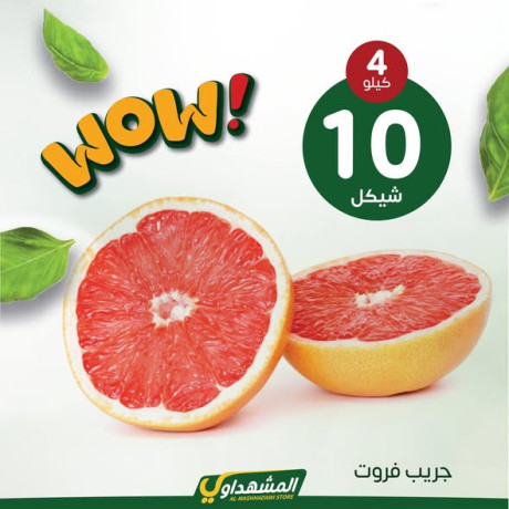 almshhdaoy-bls-lladoat-almnzly-big-3